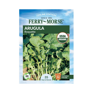 Arugula Roquette Organic