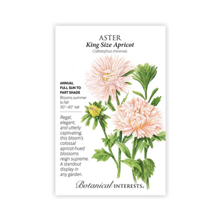 Aster King Size Apricot