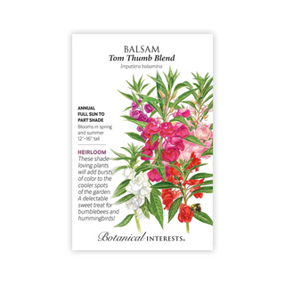 Balsam Tom Thumb Blend