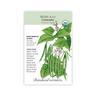 Bean Bush Contender