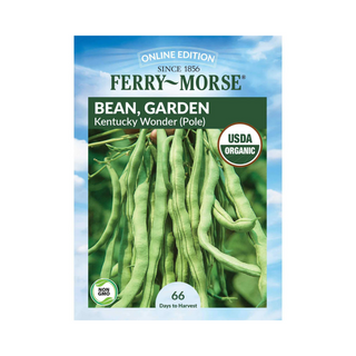 Bean Kentucky Wonder Pole Organic