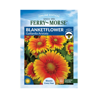 Blanketflower - Gaillardia Aristata