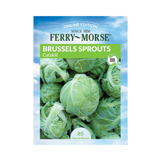 Brussel Sprouts - Catskill