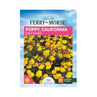 California Poppy - Mission Bells