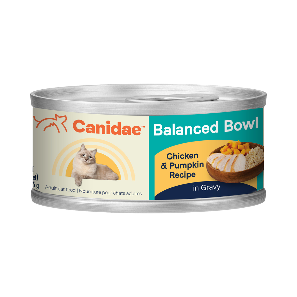 Canidae Chicken & Pumpkin Wet Cat Food  Pittsboro Feed