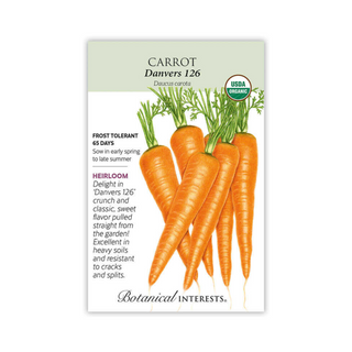 Carrot Danvers 126