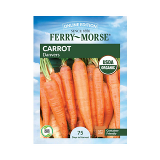 Carrot Danvers Organic