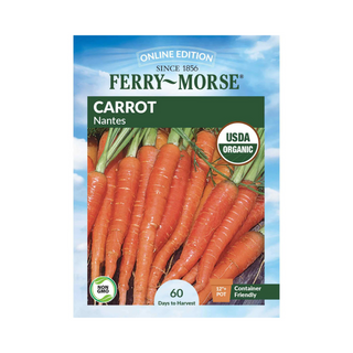 Carrot - Long Imperator Organic