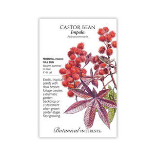 Castor Bean Impala