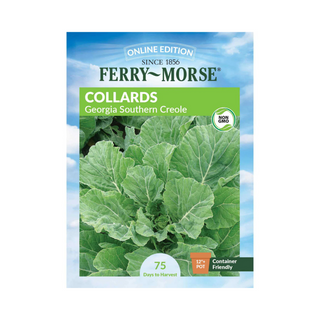 Collards - Georgia Southern Organic
