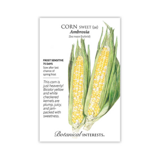 Corn Sweet Ambrosia