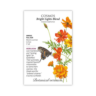 Cosmos Bright Lights Blend