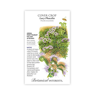 Cover Crop Lacy Phacelia