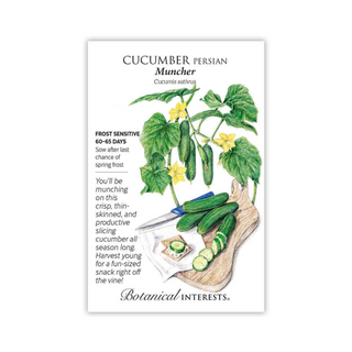 Cucumber Persian Muncher