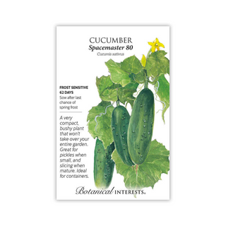 Cucumber Spacemaker 80