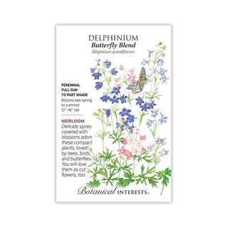 Delphinium Butterfly Blend