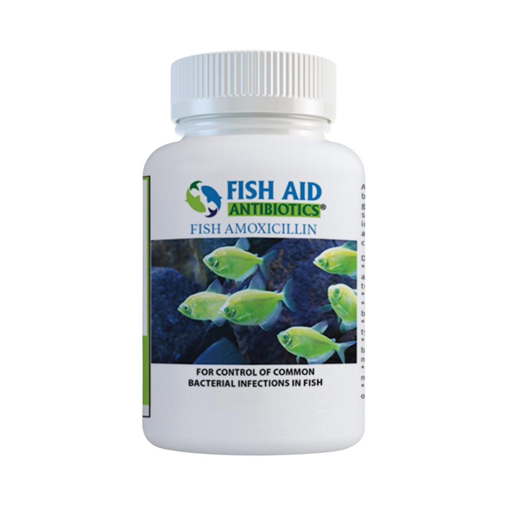 antibiotics fish hook Fish Mox