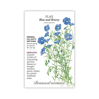 Flax Blue and Breezy
