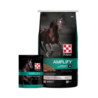 Purina Amplify High-Fat Horse Supplement