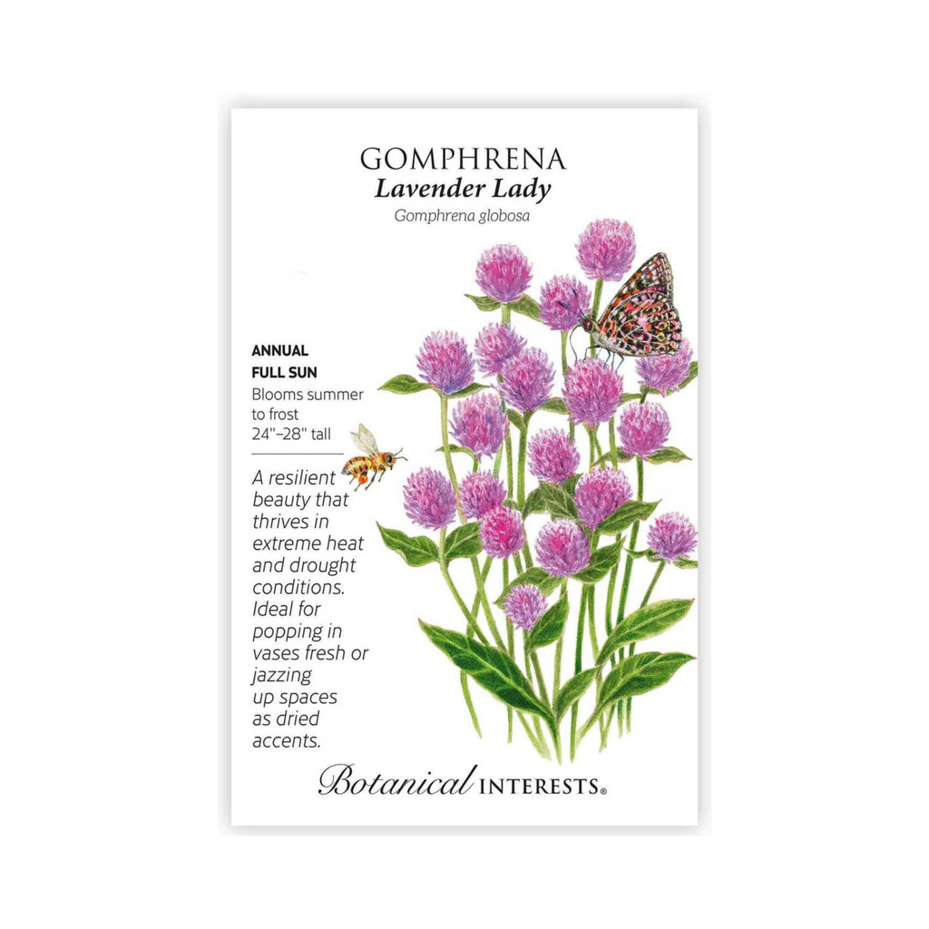 lavender lady plant Gomphrena Lavender Lady – Pittsboro Feed