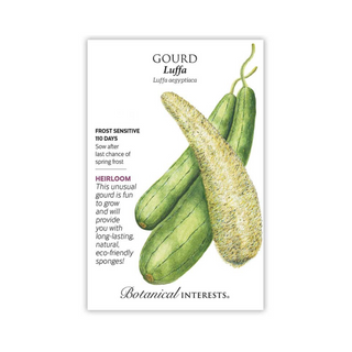 Gourd Luffa