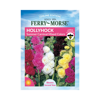 Hollyhock - Summer Carnival Mixed Colors