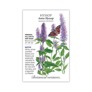 Hyssop Anise