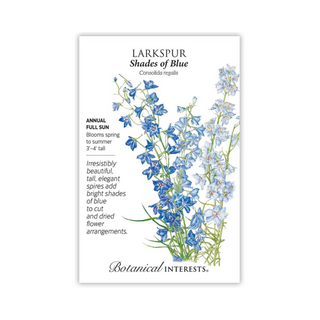 Larkspur Shades of Blue