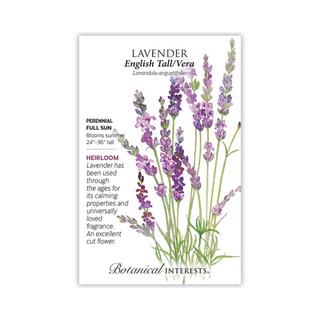 Lavender English Tall/Vera
