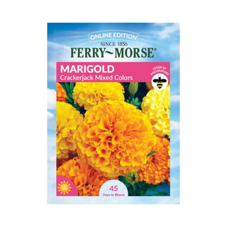 Marigold - Crackerjack MC