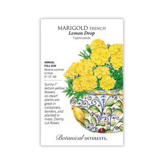 Marigold French Lemon Drop