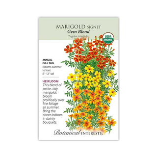 Marigold Signet Gem Blend