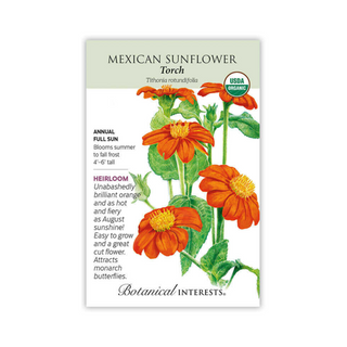 Mexican Sunflower Torch