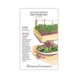 Microgreens Beet Early Wonder