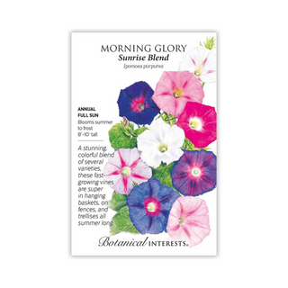 Morning Glory Sunrise Blend