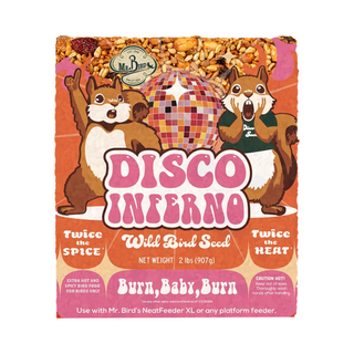 Mr. Bird Disco Inferno Cake