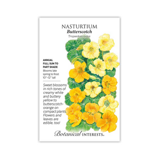 Nasturtium Butterscoth