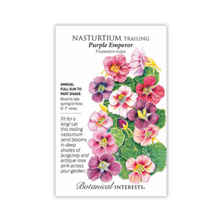 Nasturtium Trailing Purple Emperor