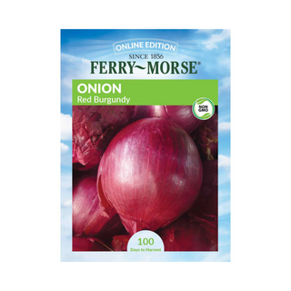 Onion - Red Burgundy Organic