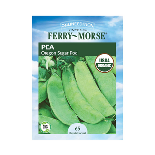 Pea Oregon Sugar Pod Organic