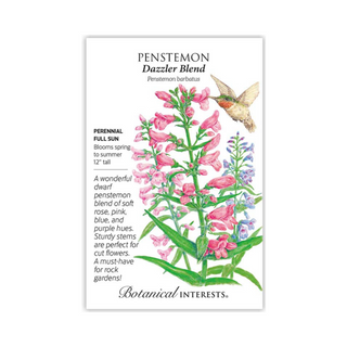 Penstemon Dazzler Blend
