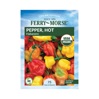 Pepper - Habanero Organic