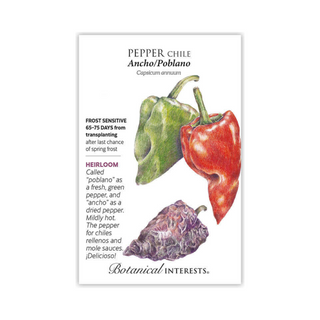Pepper Chile Ancho / Poblano