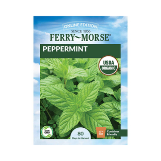 Peppermint Organic