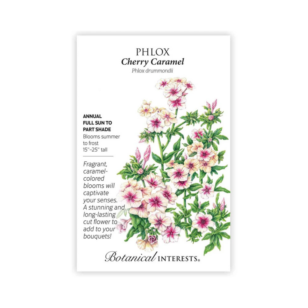 Phlox Cherry Caramel – Pittsboro Feed
