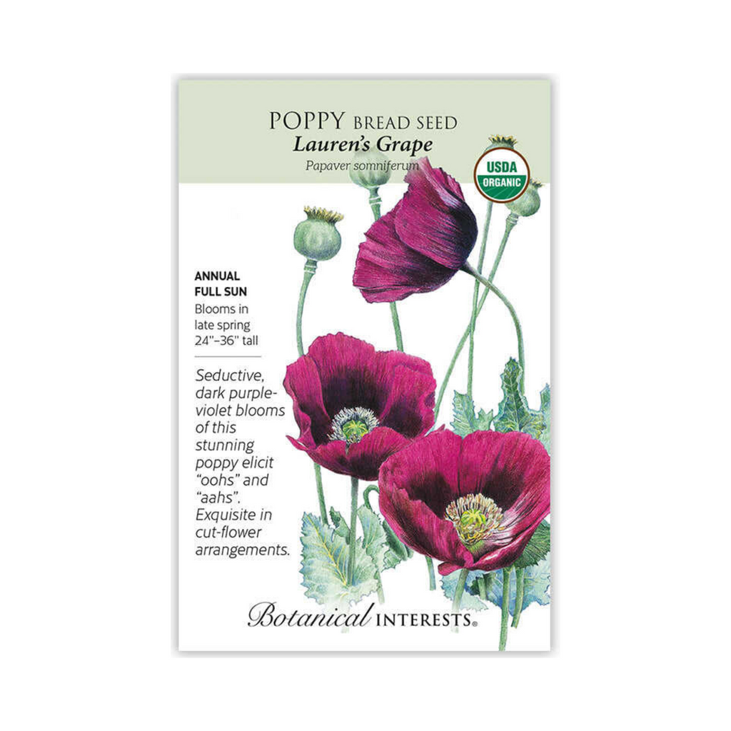 organic poppy seeds for planting Lauren's Grape Bread Seed Poppy Seeds