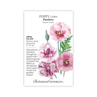 Poppy Corn Pandora
