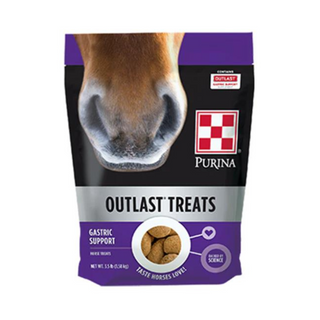 Purina Outlast Horse Treats