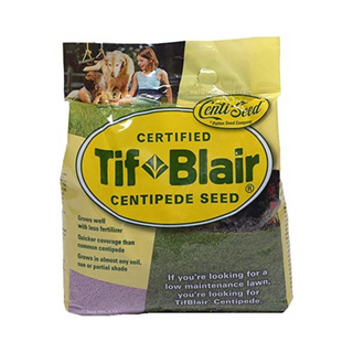 TifBlair Centipede Grass Seed