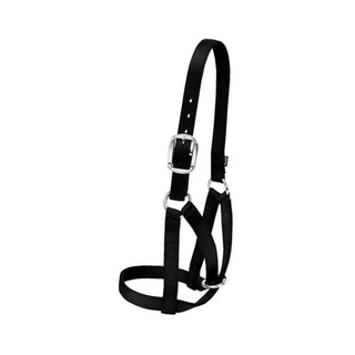 Barn Cow Halter